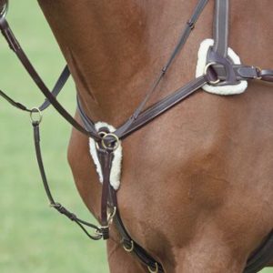 Shires 5 point Breastplate