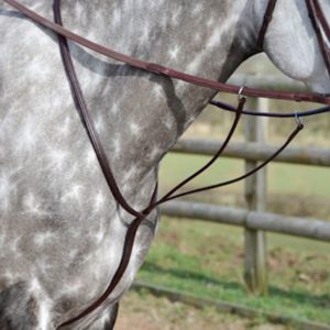 Bridleway Buckingham Running Martingale