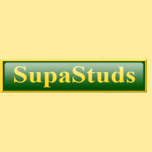 Supastuds Original Road Stud SS001