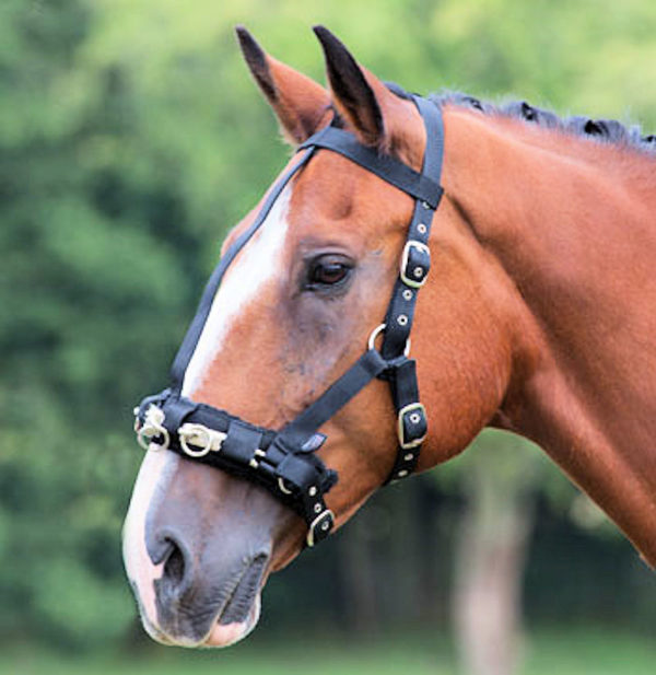Shires Fleece Lined Lunge Cavesson II 