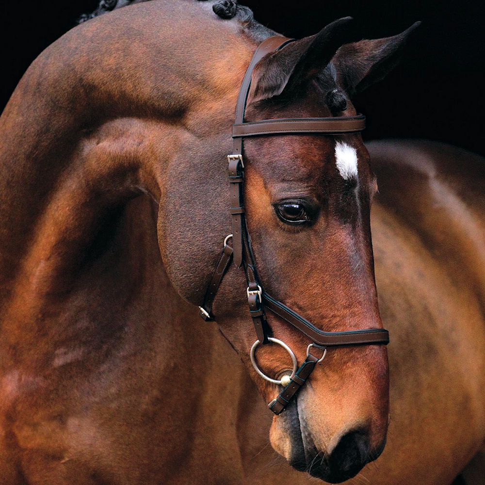 %% HORSEWARE Rambo Micklem Deluxe Competition Bridle havanna%% 