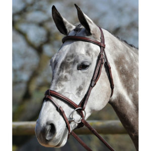 Bridleway Buckingham Plain Flash Bridle