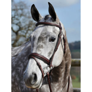 Bridleway Buckingham Flash Crank Bridle