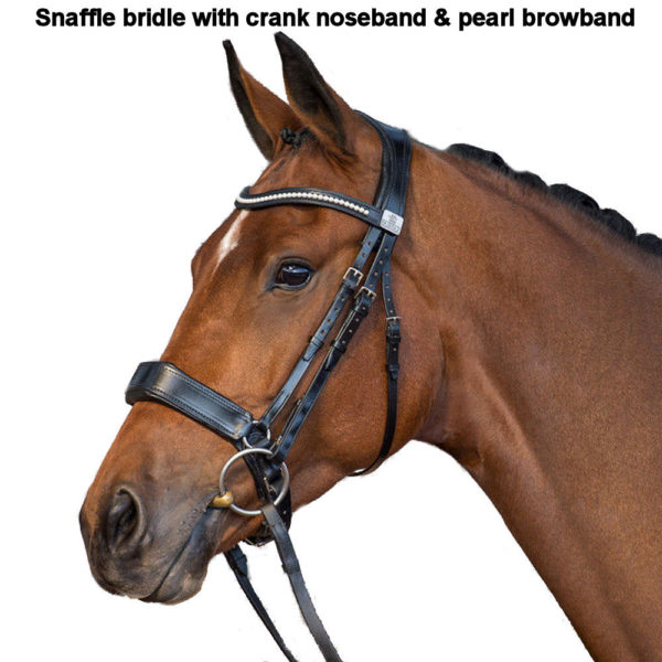 ... Shires Avignon Grackle Bridle raised and lined browband noseband and reins