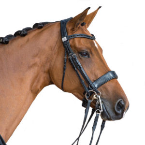 Fairfax Performance Double Bridle