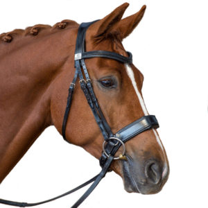 Fairfax Performance Snaffle Bridle