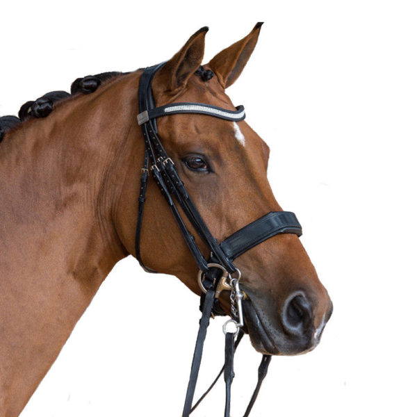 Fairfax Performance Double Bridle Double Bridles For Sale TDS