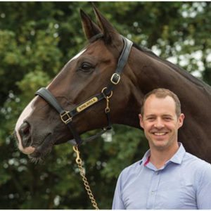 Fairfax Rio Headcollar