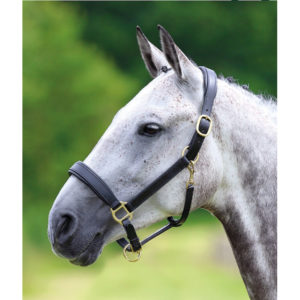 Blenheim  Leather Travel Headcollar