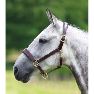 Blenheim  Leather Travel Headcollar