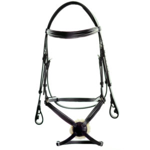 Dever Ascot Grackle Bridle