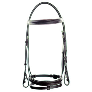 Dever Ascot Padded Flash Bridle