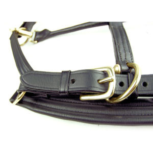 Dever Ascot Padded Leather Headcollar