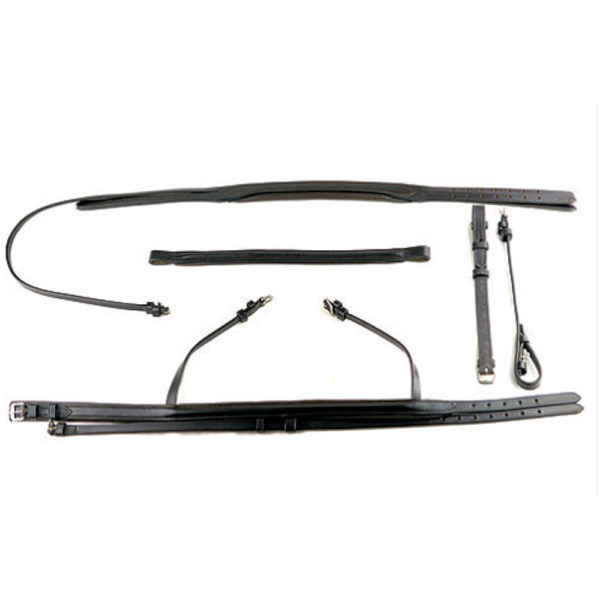 DEVER ASCOT LEATHER COMFORT FLASH BRIDLE SNAFFLE BRIDLES