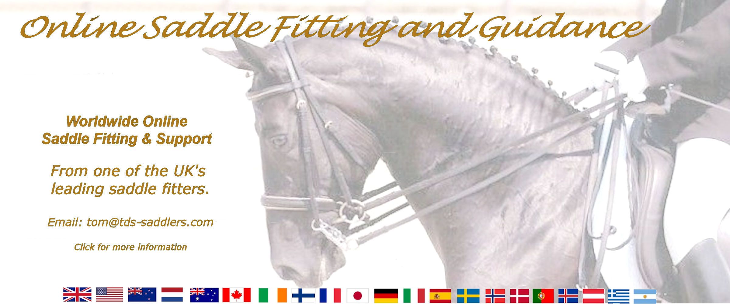 saddle fitting guidance