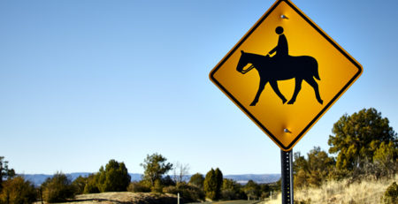 Horse and Rider Road Crossing Sign