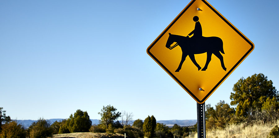 Horse and Rider Road Crossing Sign