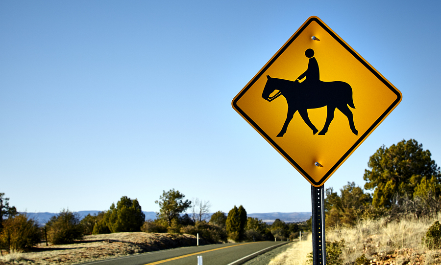 Horse and Rider Road Crossing Sign