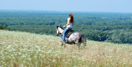 girl riding a horse through the tall grass in summer