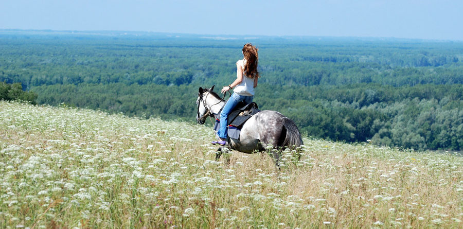 girl riding a horse through the tall grass in summer