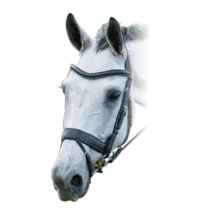 fairfax performance separate flash cavesson noseband