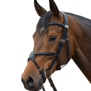 fairfax performance separate grackle noseband