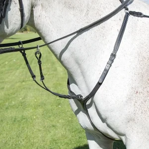 shires avignon breastplate