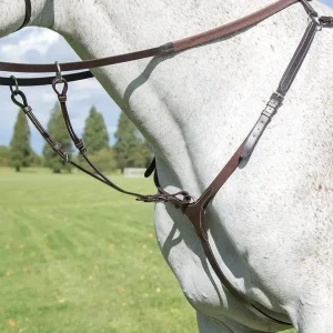 shires avignon breastplate