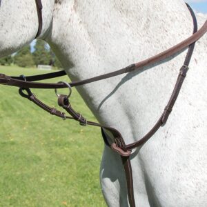 shires avignon running martingale