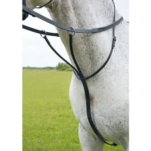 shires blenheim running martingale