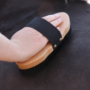Shires Ezi-Groom Premium Body Brush - Wood - Image 3